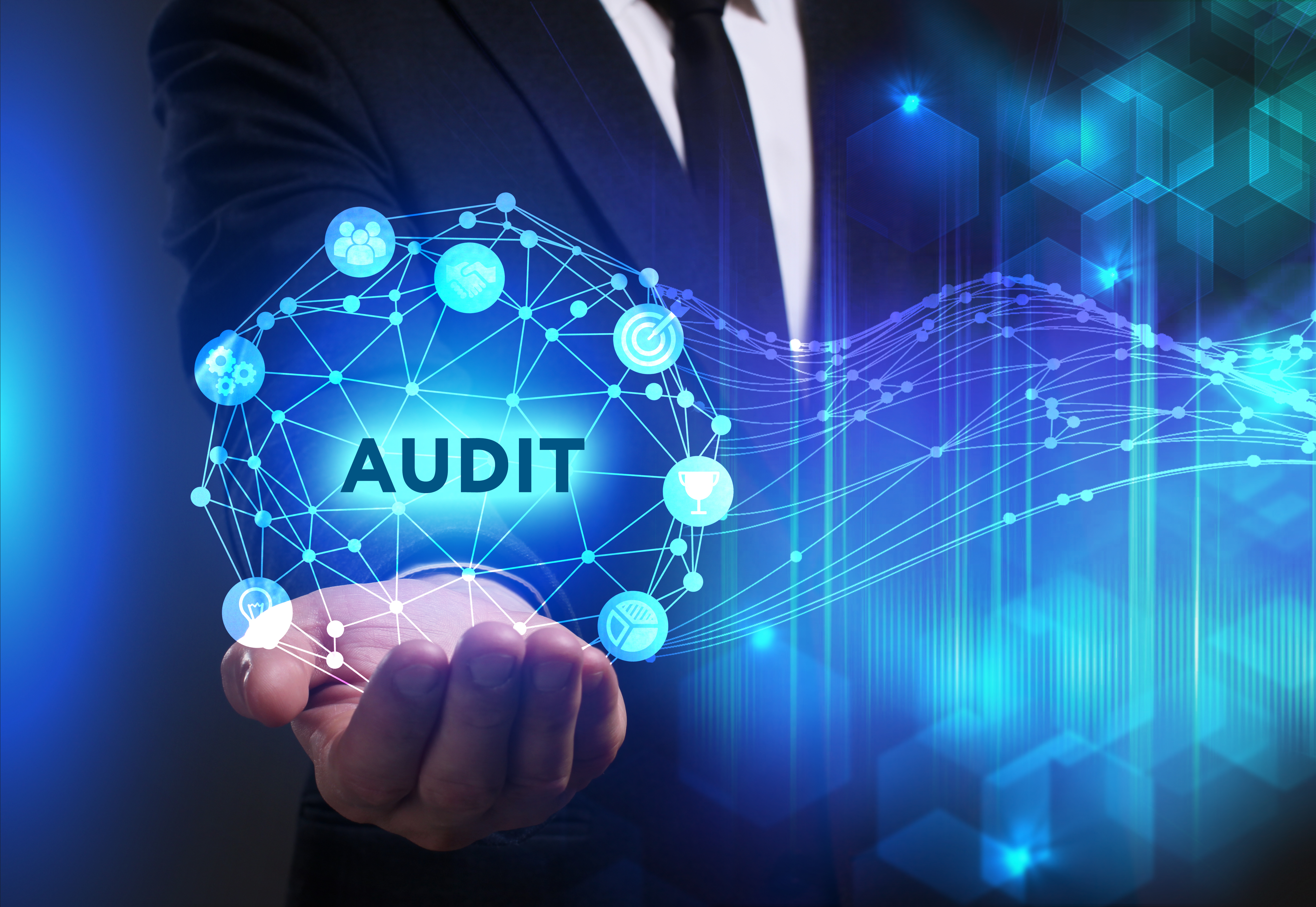 Audit Musk Associates_Audit